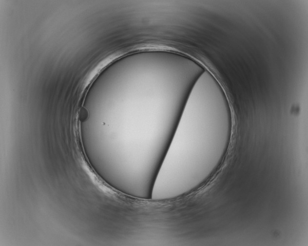 X0000115530909200911061124