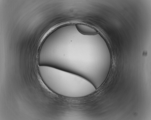 X0000115530911200911061124
