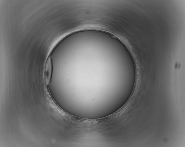 X0000115530912200911061124