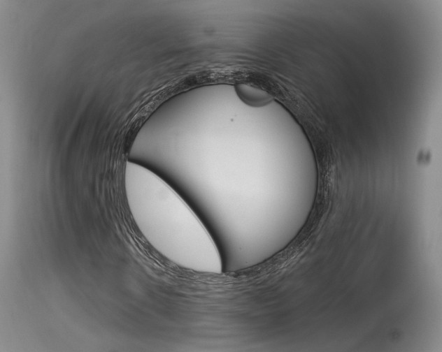 X0000115530914200911061123