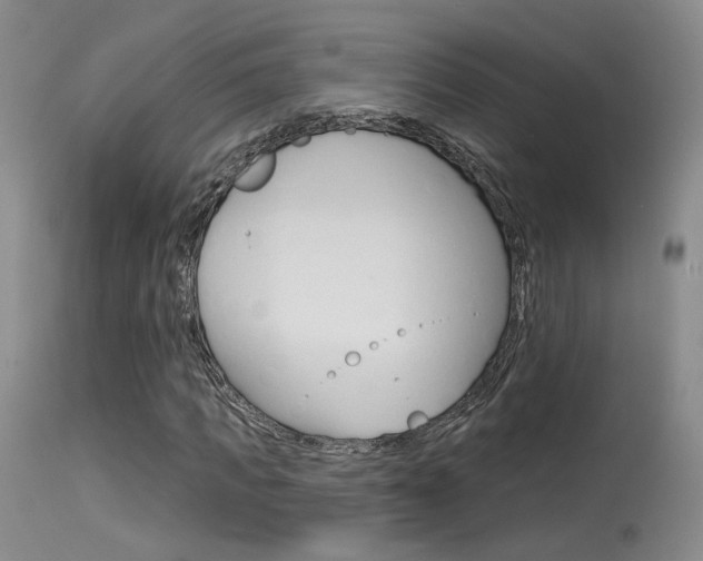 X0000115530917200911061123