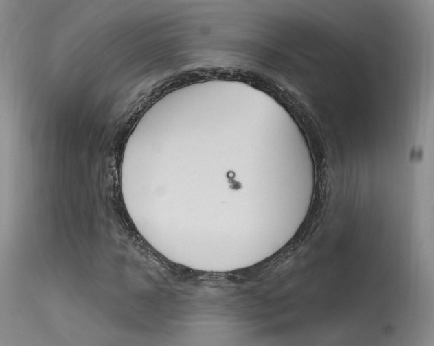 X0000115530918200911061123