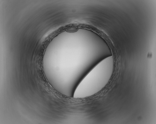 X0000115530919200911061123