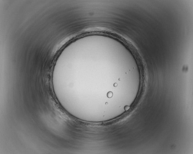 X0000115530921200911061123