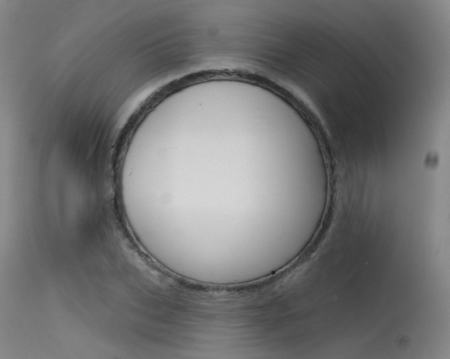 X0000115530927200911061124