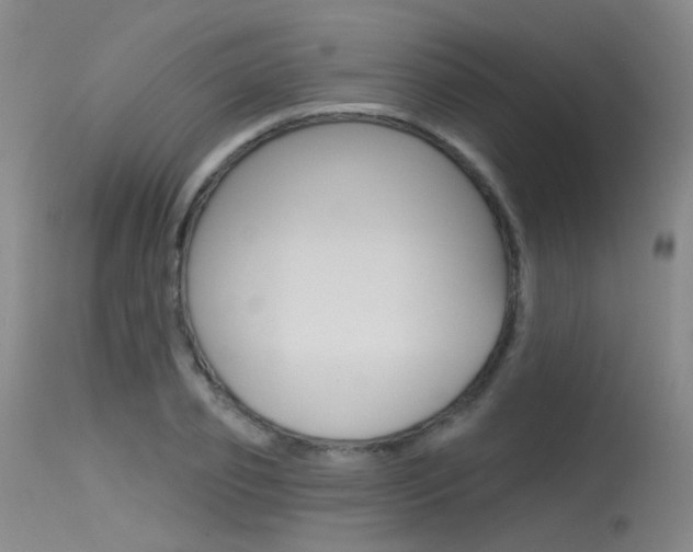 X0000115530933200911061124