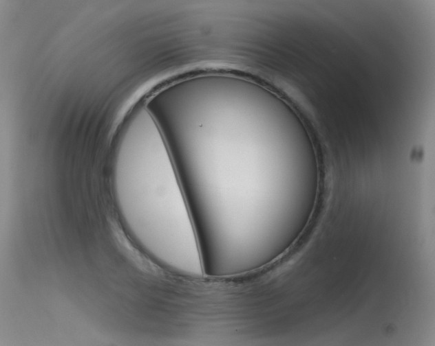 X0000115530934200911061124