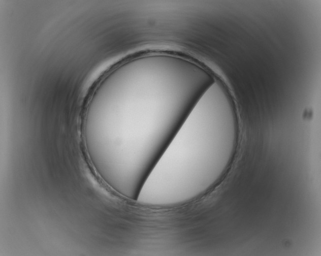 X0000115530935200911061124