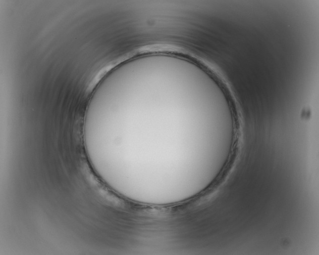 X0000115530937200911061124