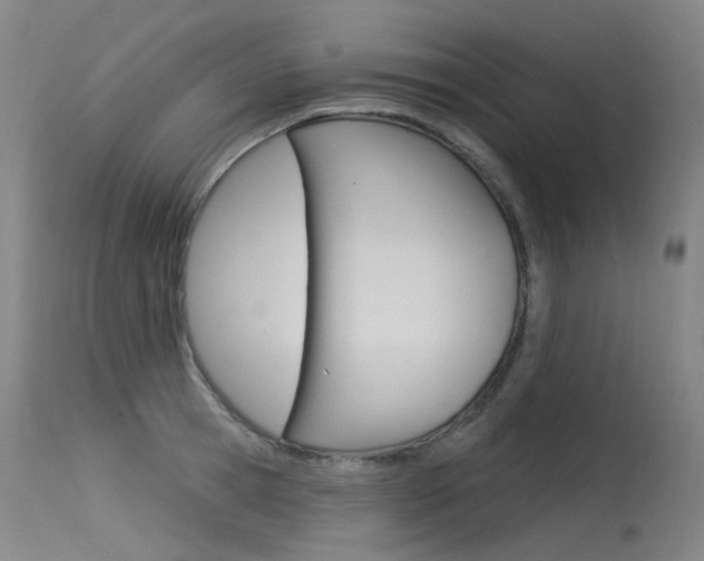 X0000115530945200911061124