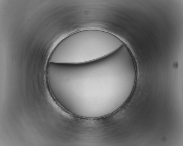 X0000115530949200911061124