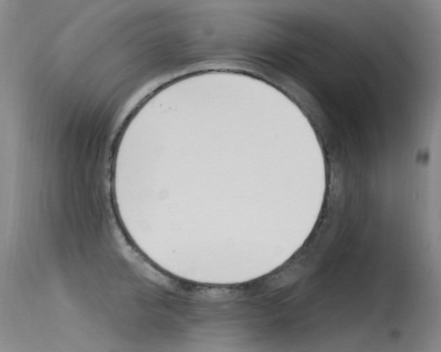 X0000115530950200911061124