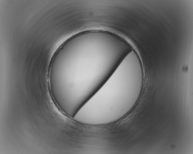 X0000115530951200911061124