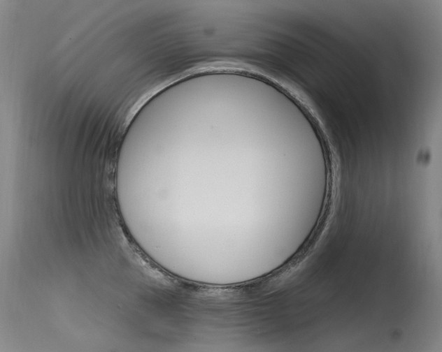 X0000115530953200911061124