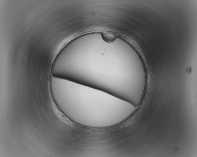 X0000115530954200911061124