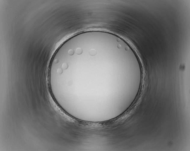 X0000115530957200911061124