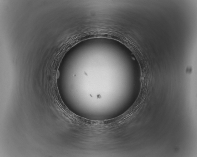 X0000115530961200911061123
