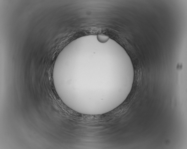 X0000115530962200911061123