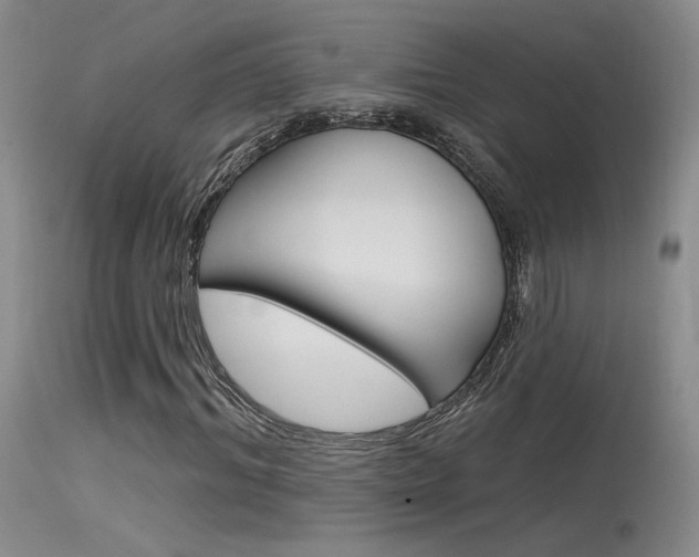 X0000115530964200911061123