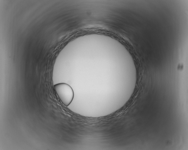X0000115530965200911061123