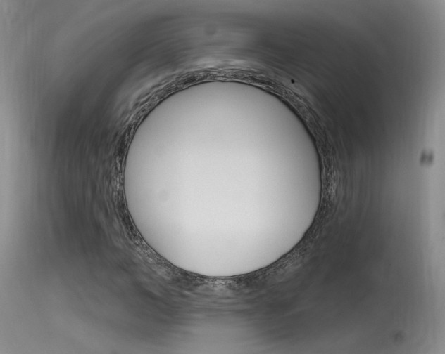 X0000115530966200911061123