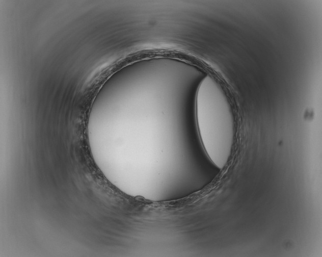 X0000115530967200911061123