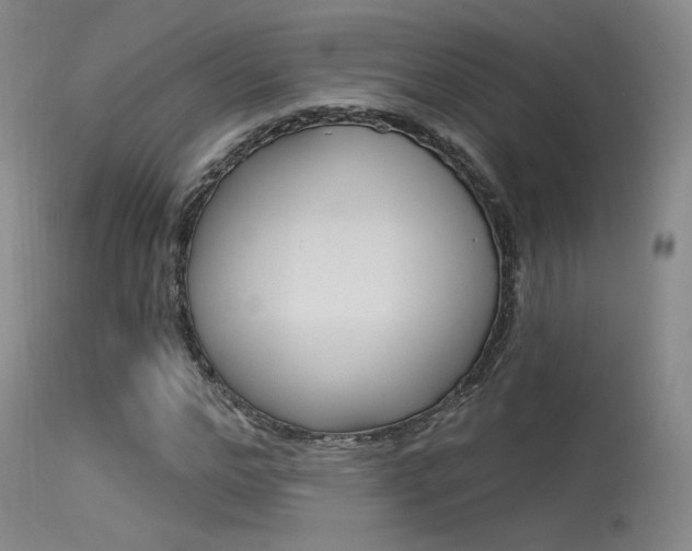 X0000115530968200911061123