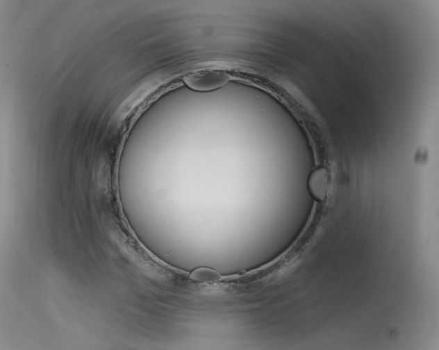 X0000115530969200911061123