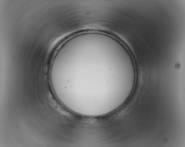 X0000115530971200911061123