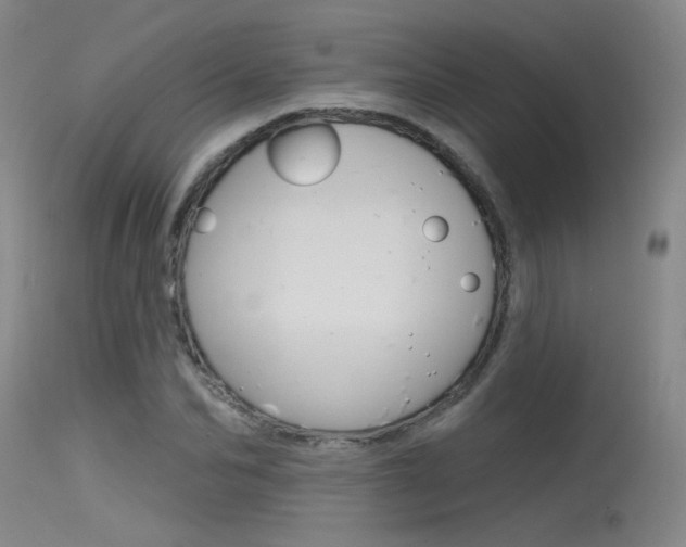 X0000115530974200911061123