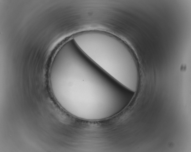 X0000115530975200911061123