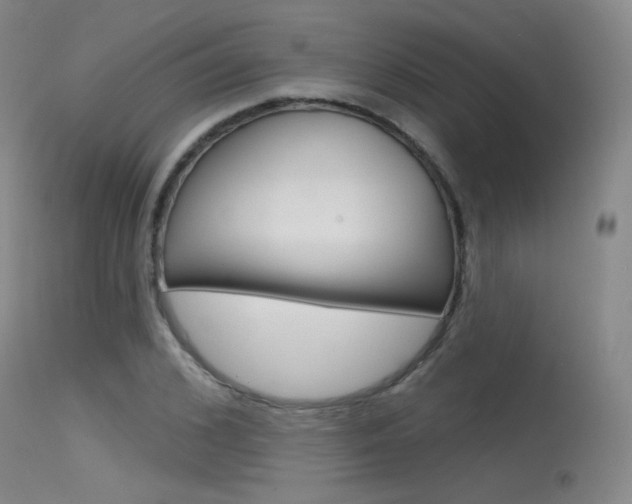 X0000115530976200911061123