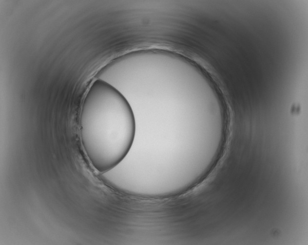 X0000115530977200911061123