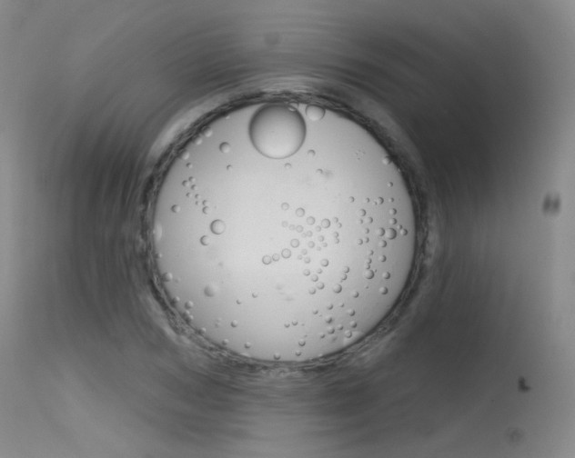X0000115530978200911061123
