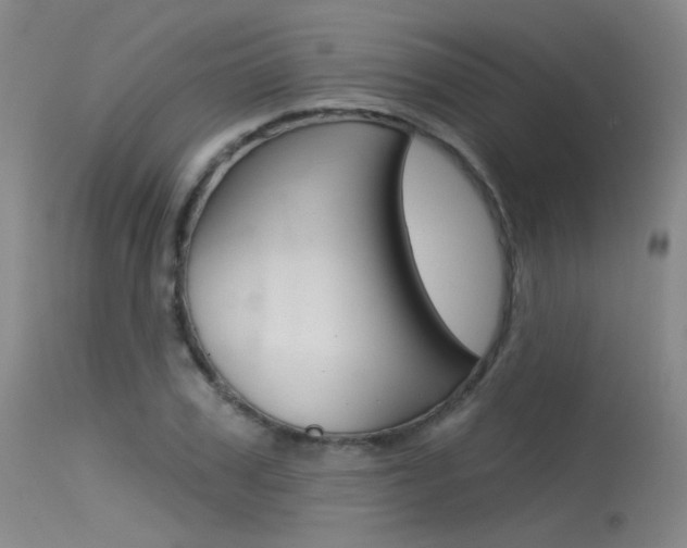 X0000115530979200911061123