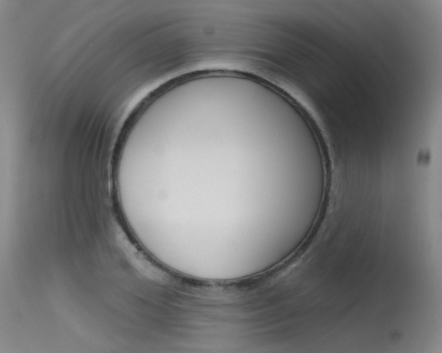 X0000115530980200911061123