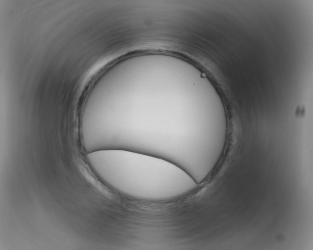 X0000115530982200911061123