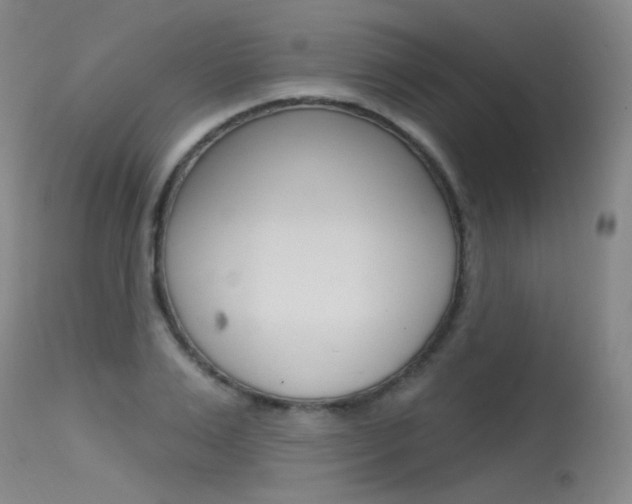 X0000115530983200911061123