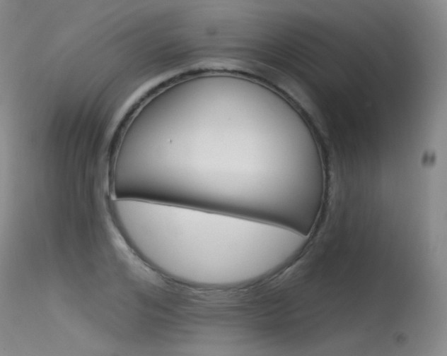 X0000115530984200911061123