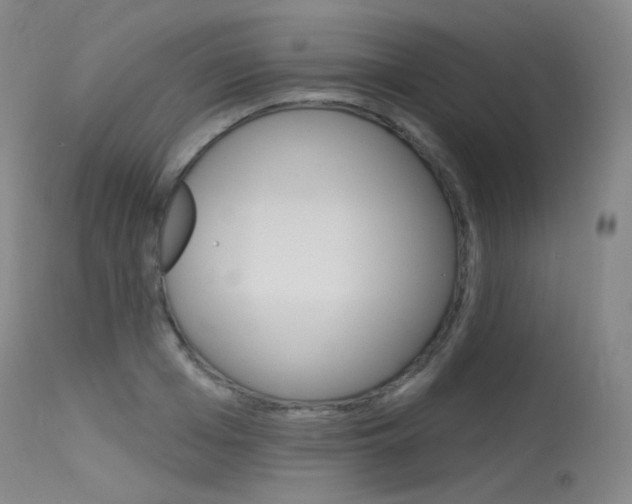 X0000115530985200911061123