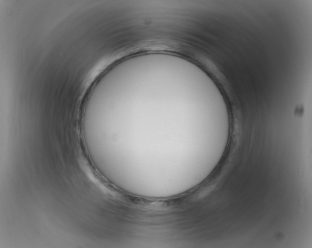 X0000115530986200911061123