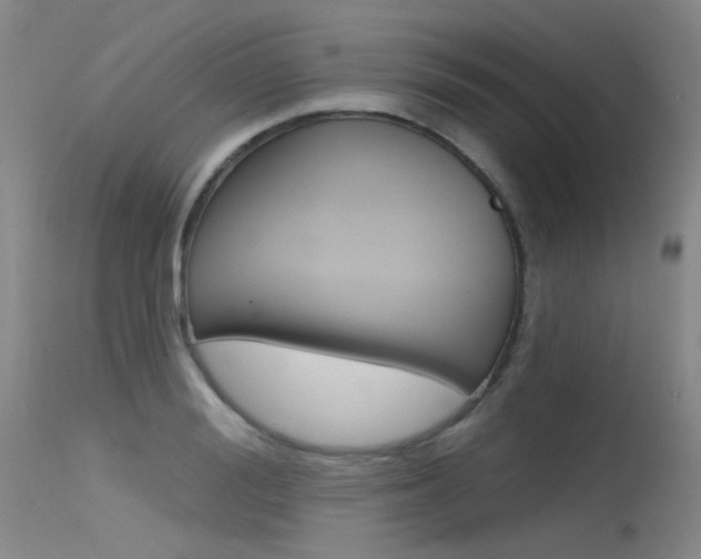 X0000115530988200911061123