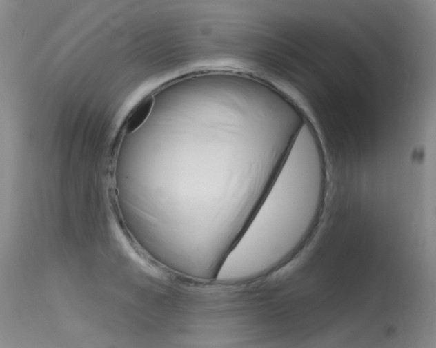 X0000115530989200911061123