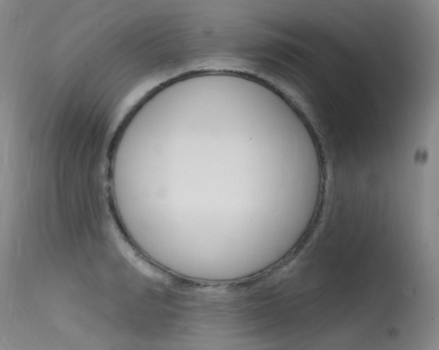 X0000115530990200911061123