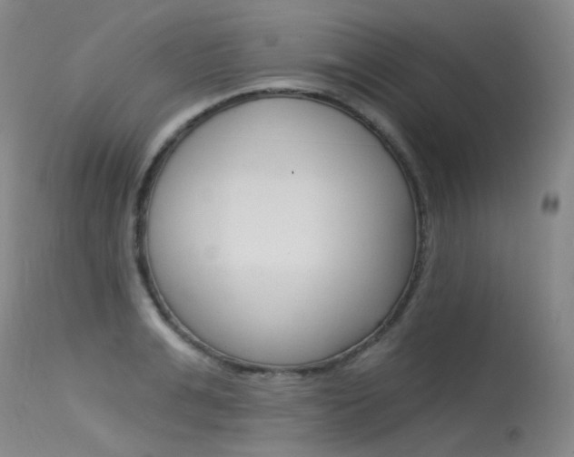 X0000115530991200911061123