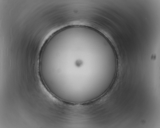 X0000115530992200911061123