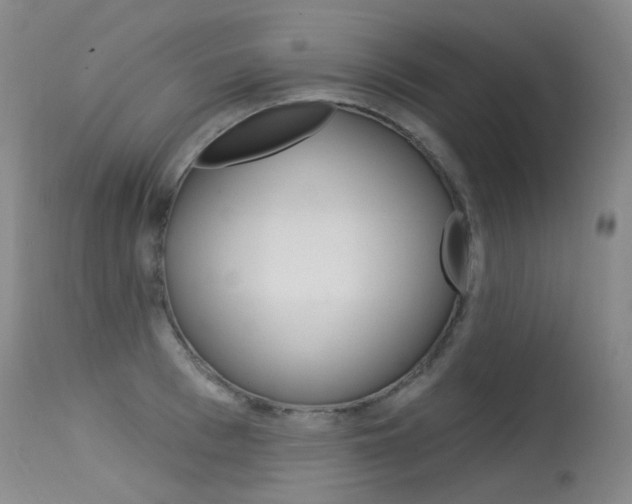X0000115530993200911061123
