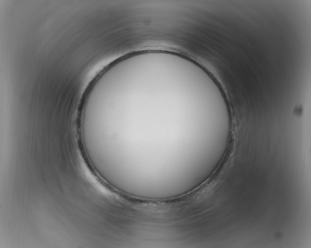 X0000115530995200911061123