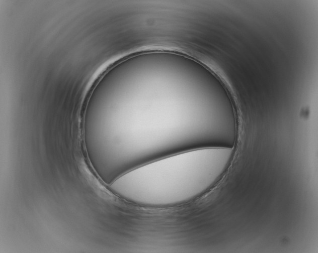 X0000115530996200911061123