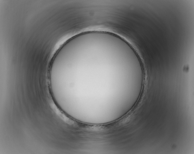X0000115530998200911061123